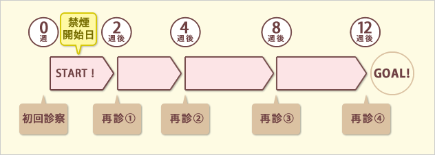 健康保険等による禁煙治療のスケジュール