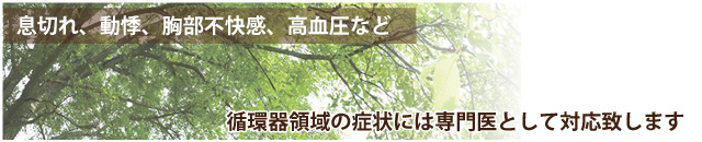 息切れ、動悸、胸部不快感、高血圧など 循環器領域の症状には専門医として対応致します